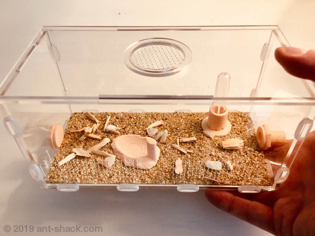 Large Ant Box Ant Farms & Formicarium Kits | Large Ant Outworld Kit