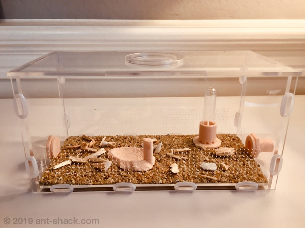 Large Ant Box Ant Farms & Formicarium Kits | Large Ant Outworld Kit