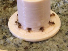 Load image into Gallery viewer, Liquid Ant Feeder