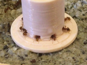 Liquid Ant Feeder