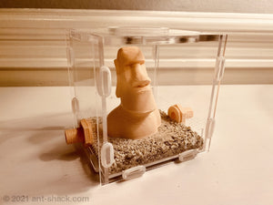 Medium Ant Outworld Kit Moai Farm Arena