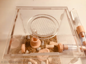 Natural Ant Habitat Kit - Medium All-In-One