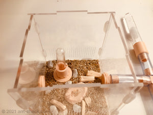 Natural Ant Habitat Kit - Medium All-In-One