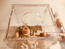 Load image into Gallery viewer, Natural Ant Habitat Kit - Medium All-In-One