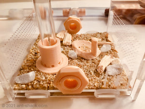 Natural Ant Habitat Kit - Small All-In-One
