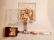 Laden Sie das Bild in den Galerie-Viewer, Natural Ant Habitat Kit - Small All-In-One