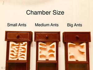 Nest Core Replacement - Small Ant Farm Arena