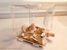 Load image into Gallery viewer, Outworld/nest Connectors (2X) Formicarium